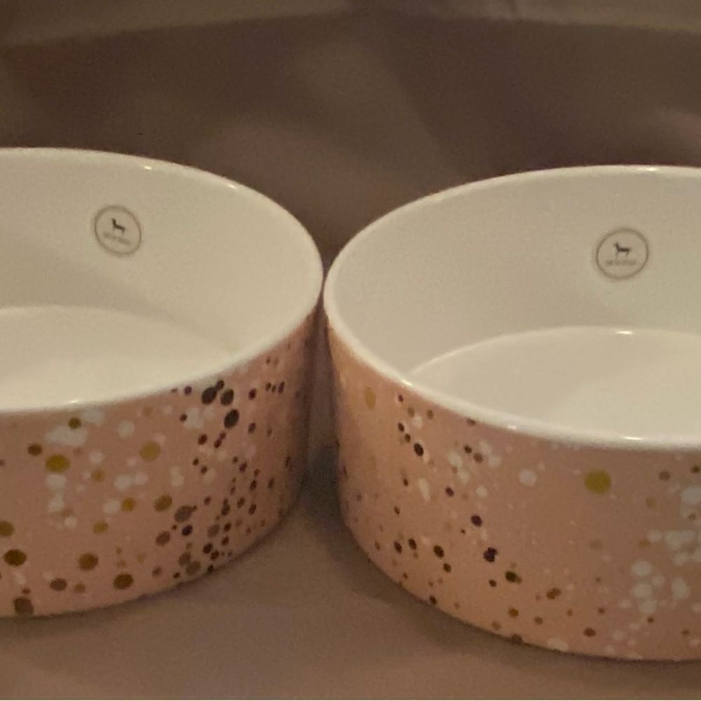 Pet Bowl Set Large Pet Supplies - Picture 4 of 4